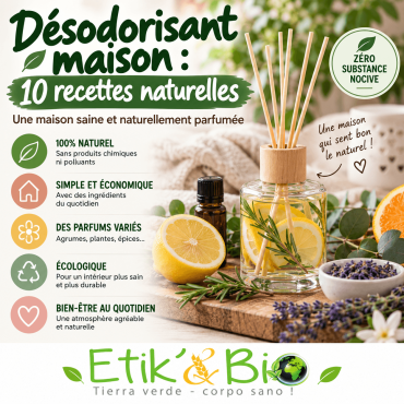 Désodorisant maison : 10 recettes naturelles pour un intérieur qui sent bon