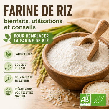 Farine de riz : bienfaits, utilisations et conseils pour remplacer la farine de blé
