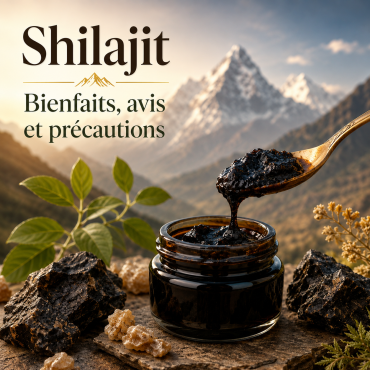 Shilajit : bienfaits, avis, dangers et conseils d’utilisation