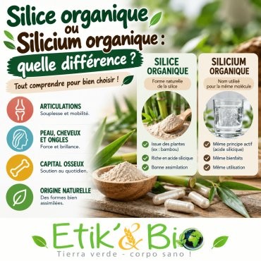 Silice organique ou silicium organique : quelle différence ?