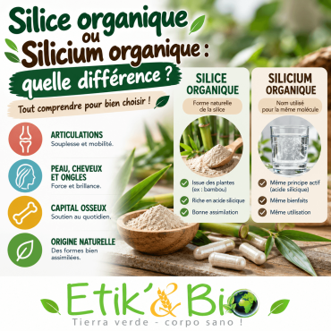 Silice organique ou silicium organique : quelle différence ?