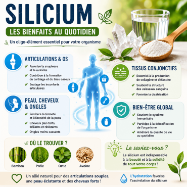 Silicium organique : bienfaits et dangers, le guide complet