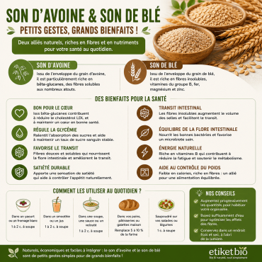 Son d'avoine et son de blé : bienfaits, utilisation et recettes