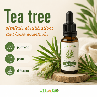 Tea tree : bienfaits et utilisations de l'huile essentielle d'arbre à thé
