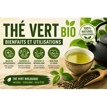 Thé vert : bienfaits, variétés et préparation